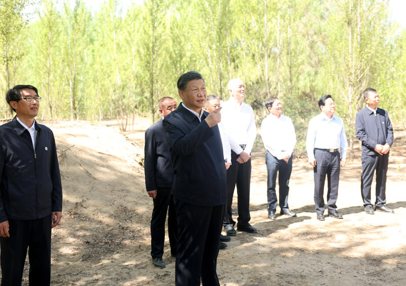 习近平在内蒙古巴彦淖尔考察并主持召开加强荒漠化综合防治和推进“三北”等重点生态工程建设座谈会(图5)