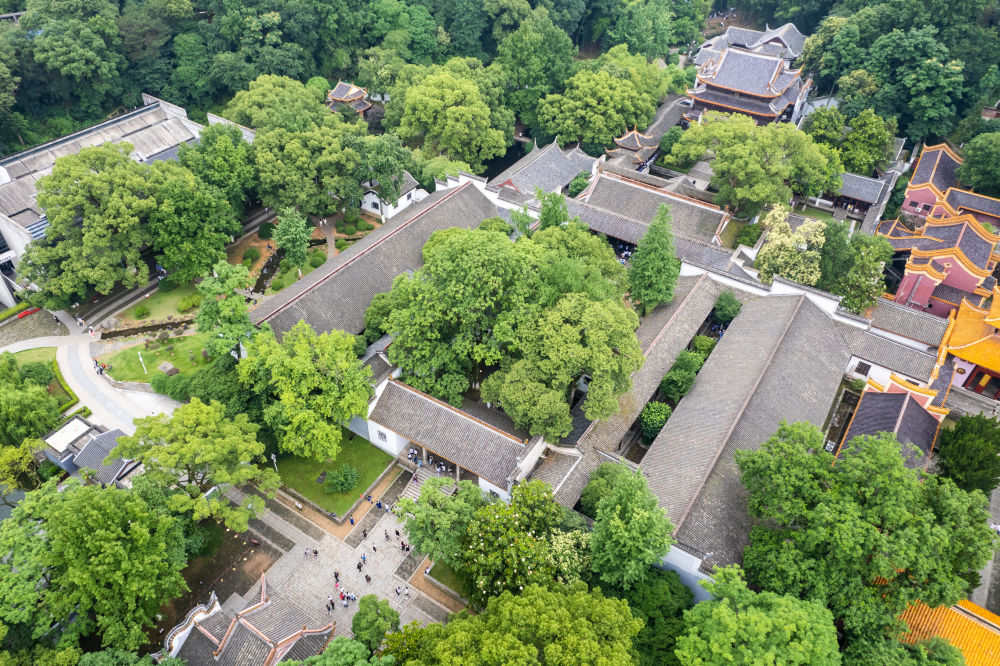 不断攀登新的思想高峰——深入学习和全面贯彻习近平新时代中国特色社会主义思想述评(图9)