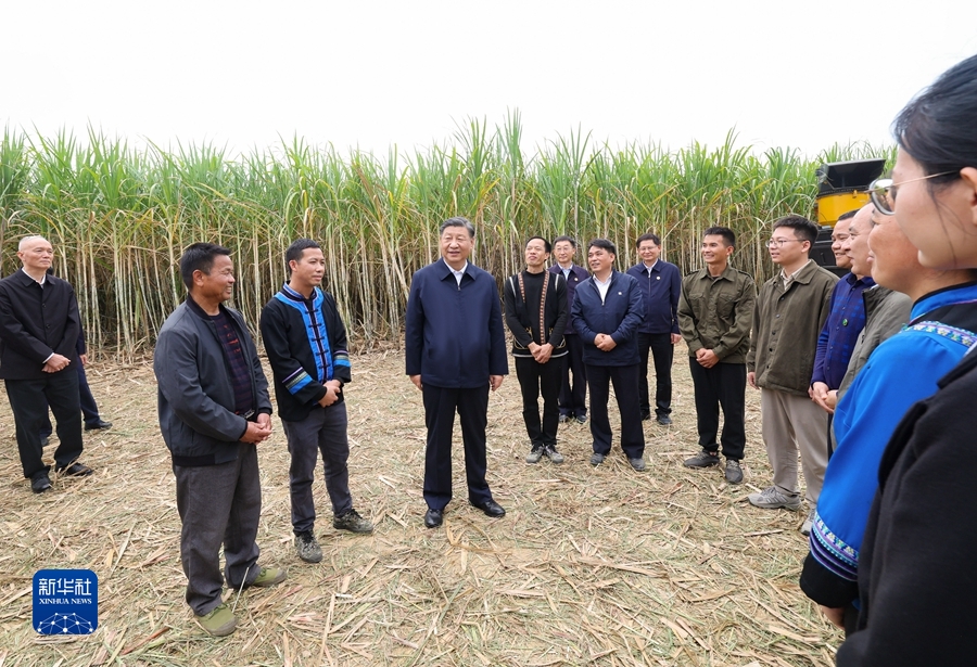 习近平在广西考察时强调 解放思想创新求变向海图强开放发展 奋力谱写中国式现代化广西篇章(图13)