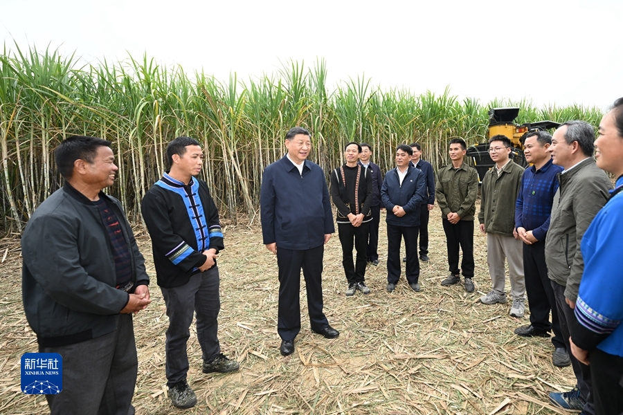 习近平在广西考察时强调 解放思想创新求变向海图强开放发展 奋力谱写中国式现代化广西篇章(图11)