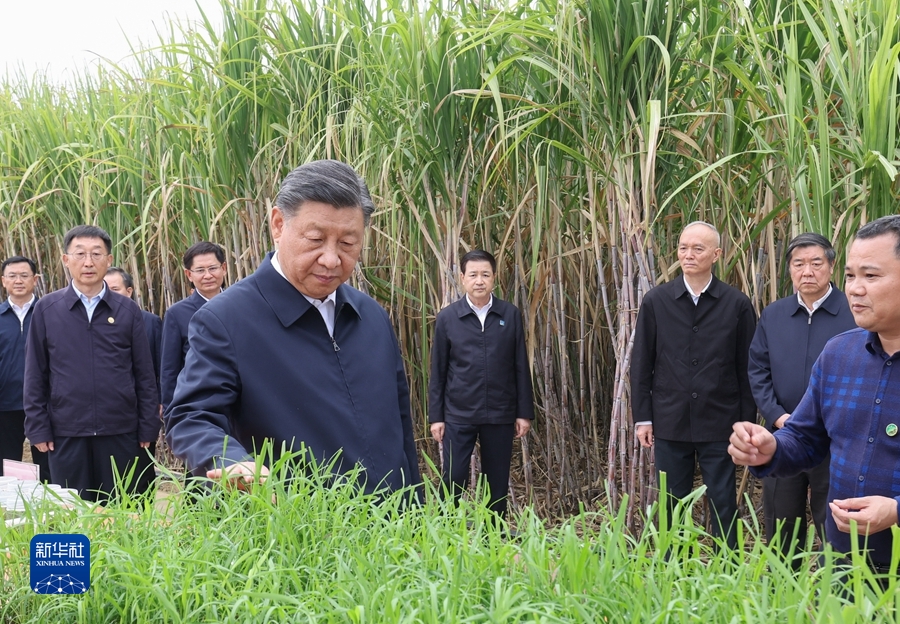 习近平在广西考察时强调 解放思想创新求变向海图强开放发展 奋力谱写中国式现代化广西篇章(图10)