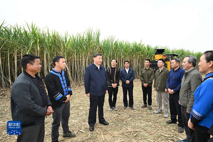 习近平在广西考察时强调 解放思想创新求变向海图强开放发展 奋力谱写中国式现代化广西篇章(图12)