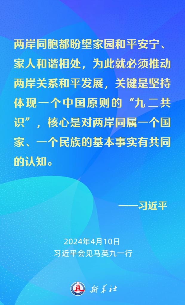 习近平：要从中华民族整体利益和长远发展来把握两岸关系大局(图9)