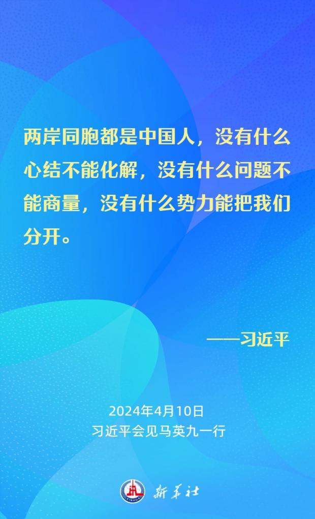 习近平：要从中华民族整体利益和长远发展来把握两岸关系大局(图3)