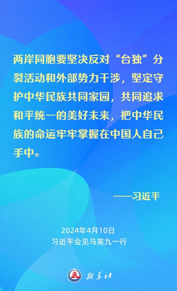 习近平：要从中华民族整体利益和长远发展来把握两岸关系大局(图8)