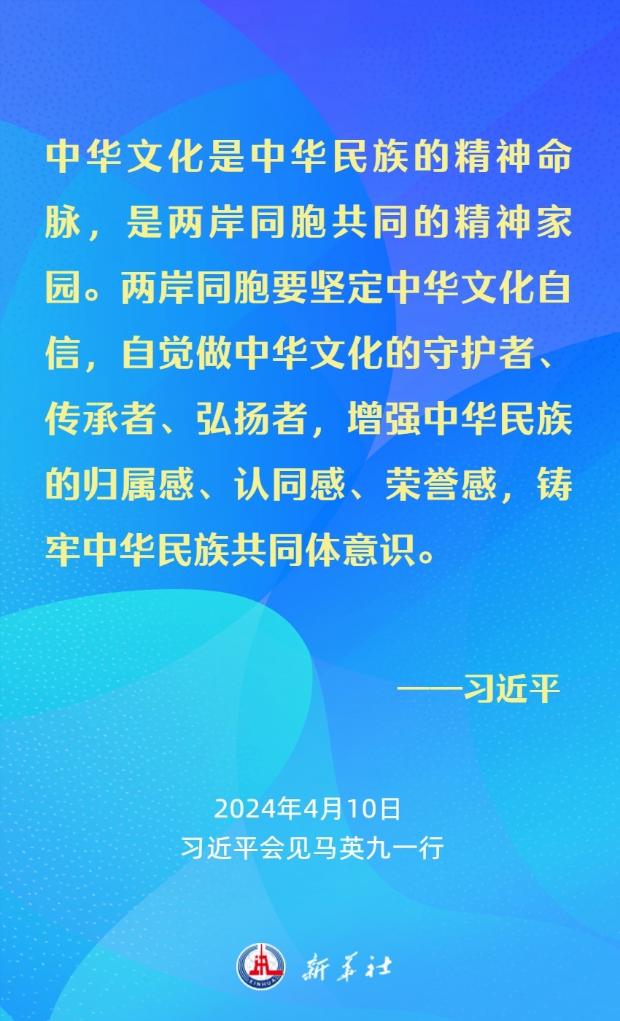 习近平：要从中华民族整体利益和长远发展来把握两岸关系大局(图14)