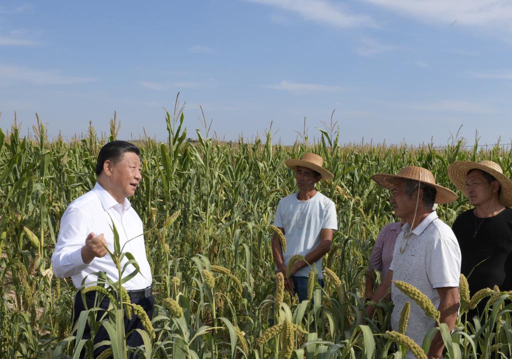 习近平总书记田间地头话农事(图4)