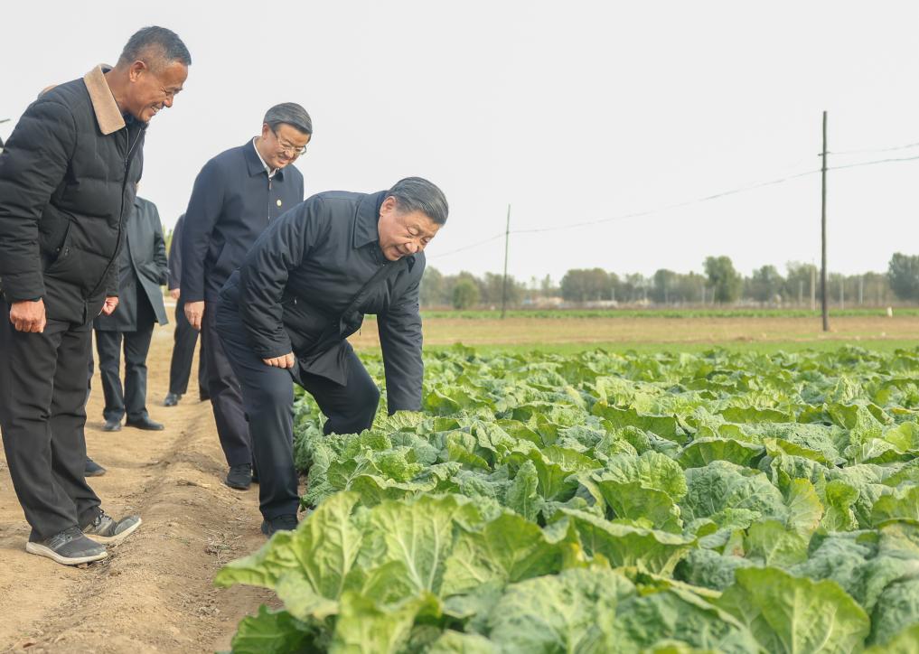 习近平总书记田间地头话农事(图3)