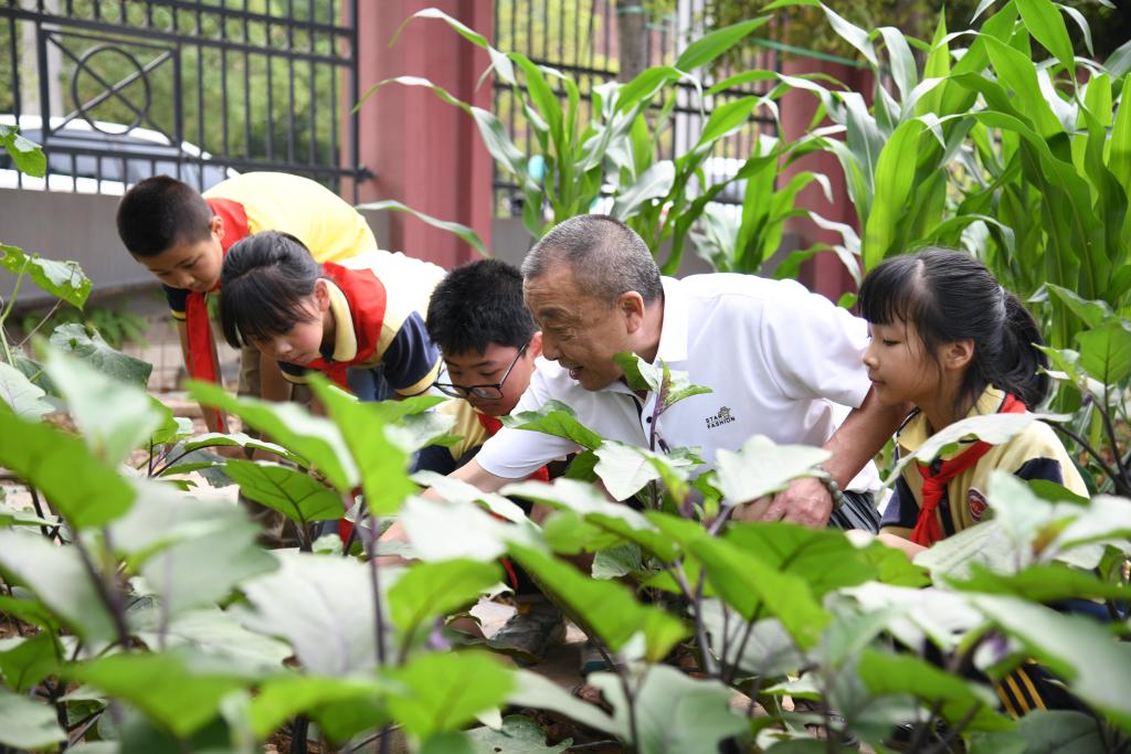 习近平总书记关切事｜一封信背后的牵挂(图6)