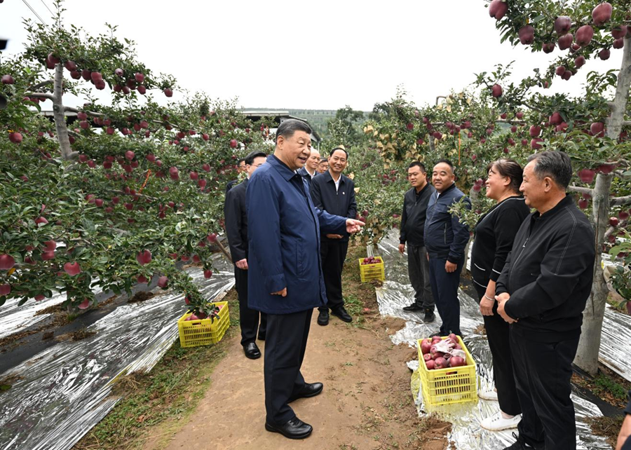 让农民腰包越来越鼓、生活越来越美好”——习近平总书记走进田间地头话“三农”(图1)